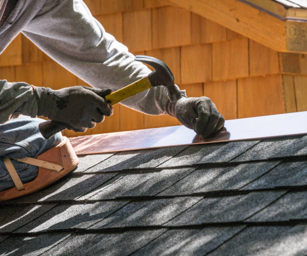 Best Roof Gutter Cleaning  in Helena, AL